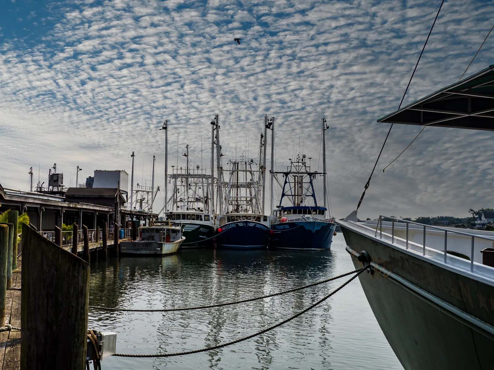 Photo of Fishing Boats Cape May