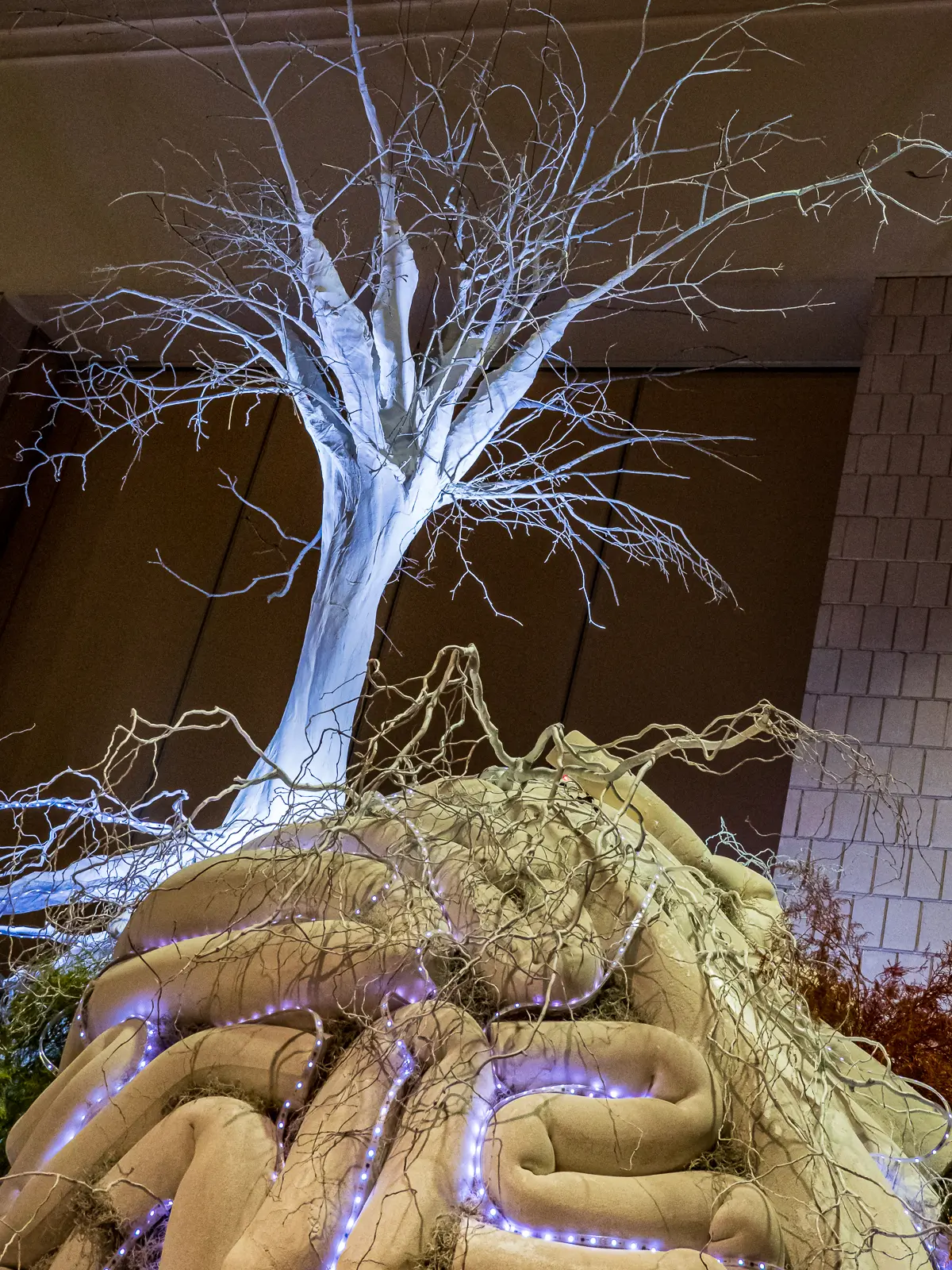 Philadelphia flower show photograph- 3123108