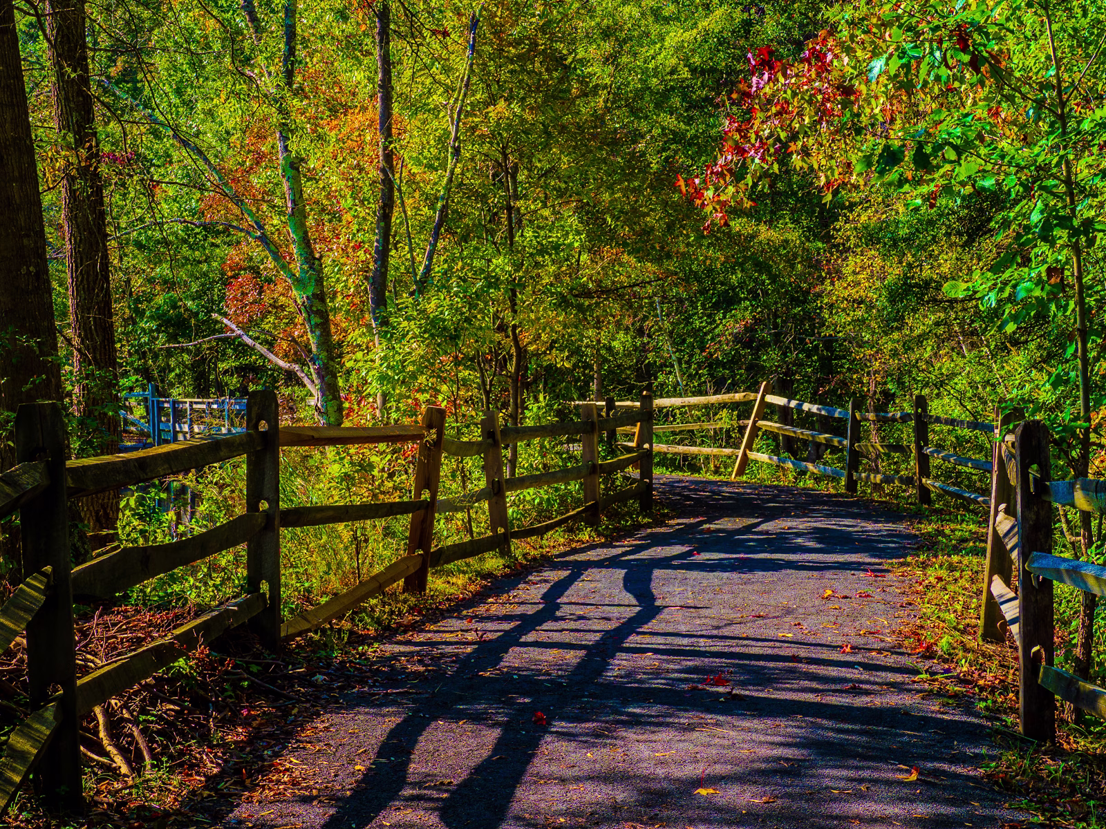 Fall Day at Black Run preserve photo