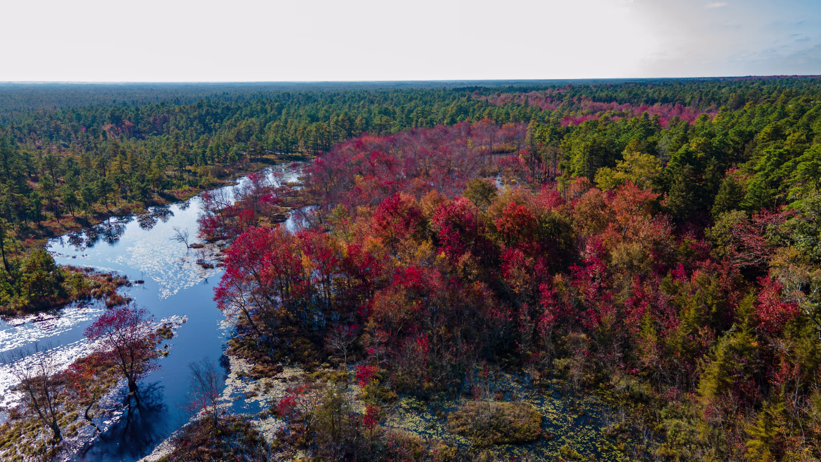 Drone shot at Quacker Bridge NJ photograph fall colot