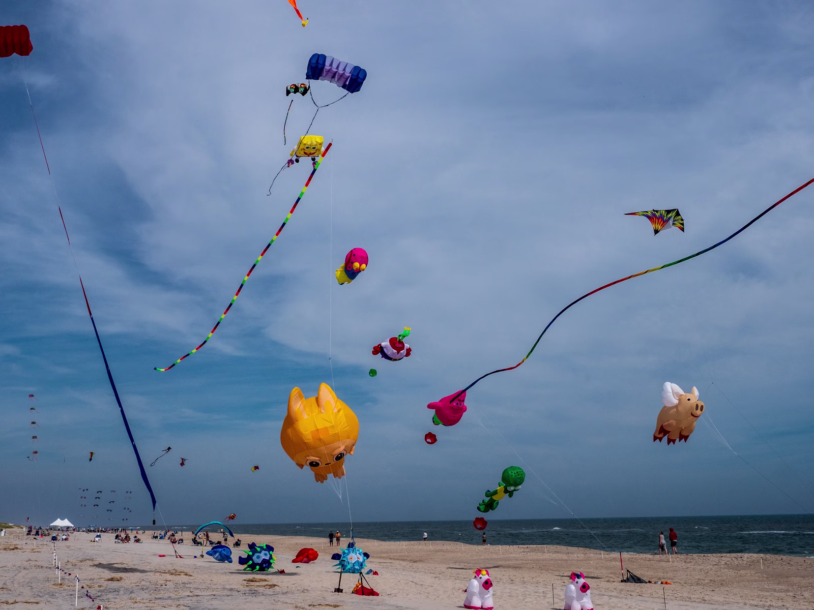 Kite Festival, Surf City Photograph